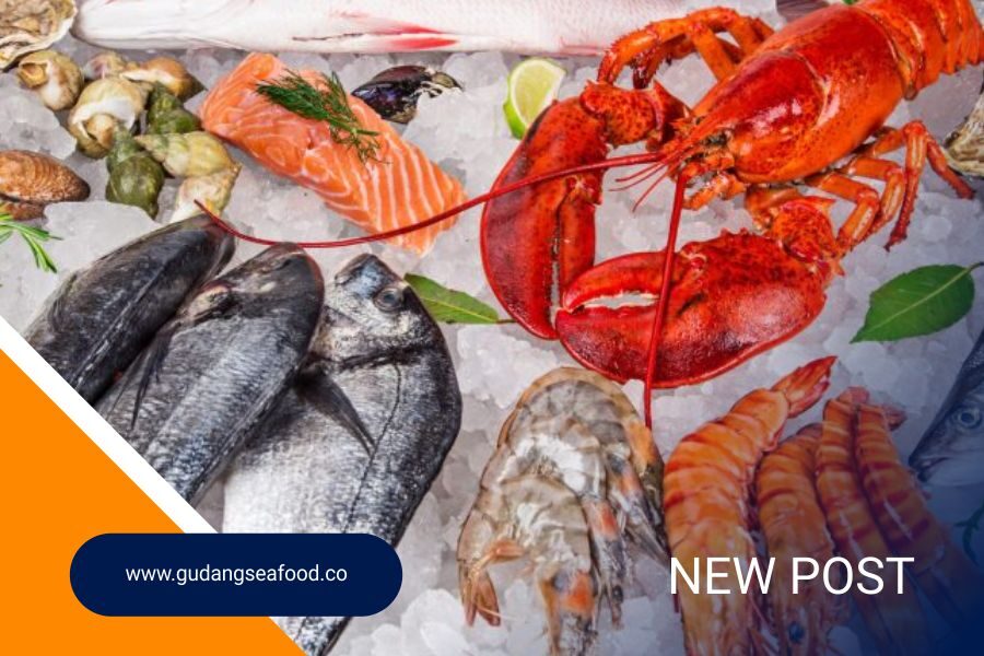 Supplier Seafood Segar di Medan