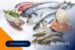 Tips Menjaga Kesegaran Seafood